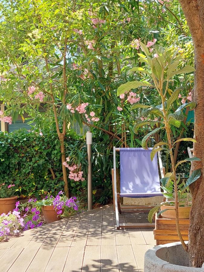 Albamare Guest house *