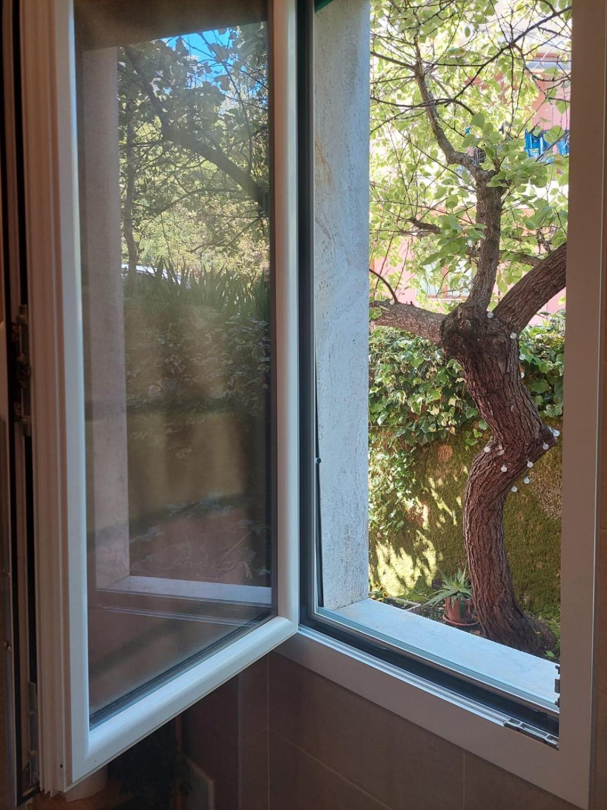 Guest house Albamare