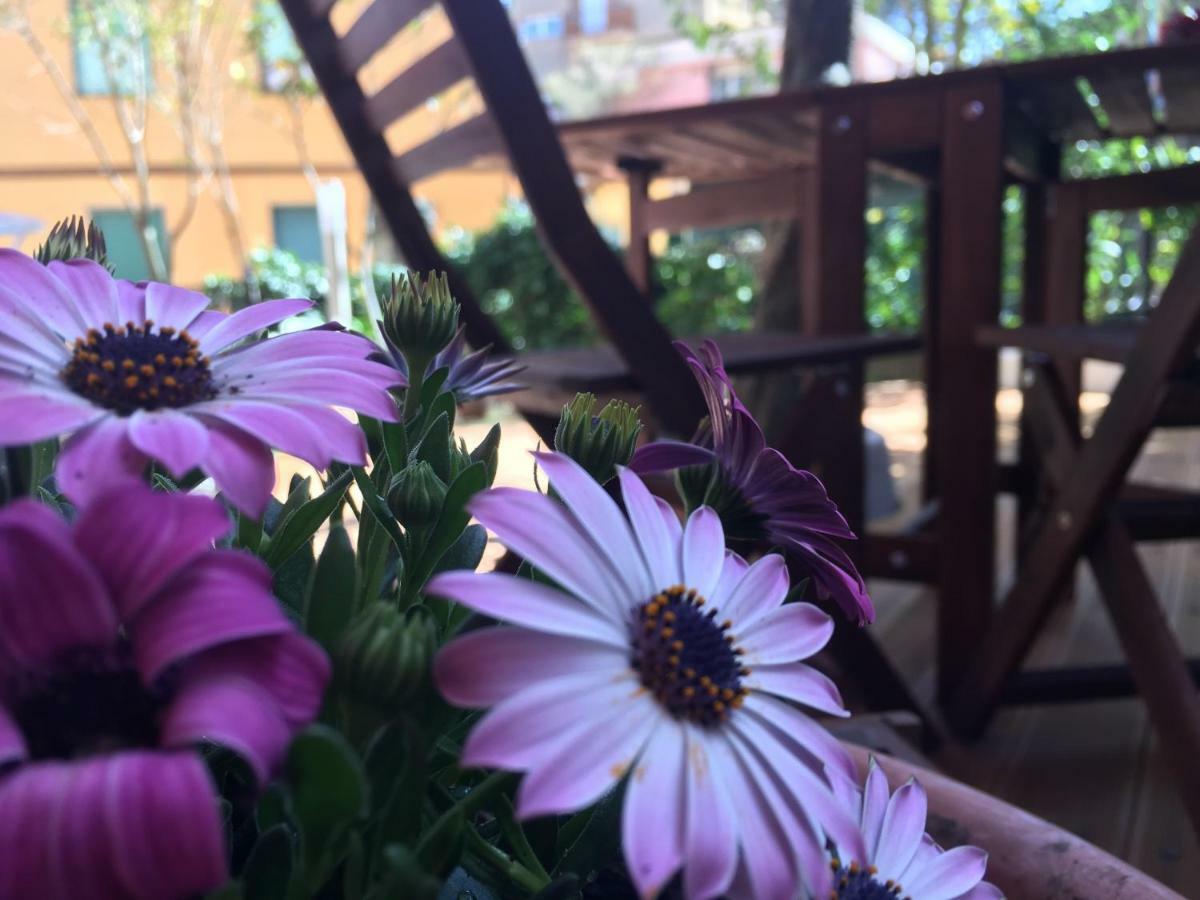 Guest house Albamare Monterosso al Mare